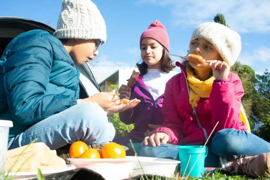 kids having picnic back to nature