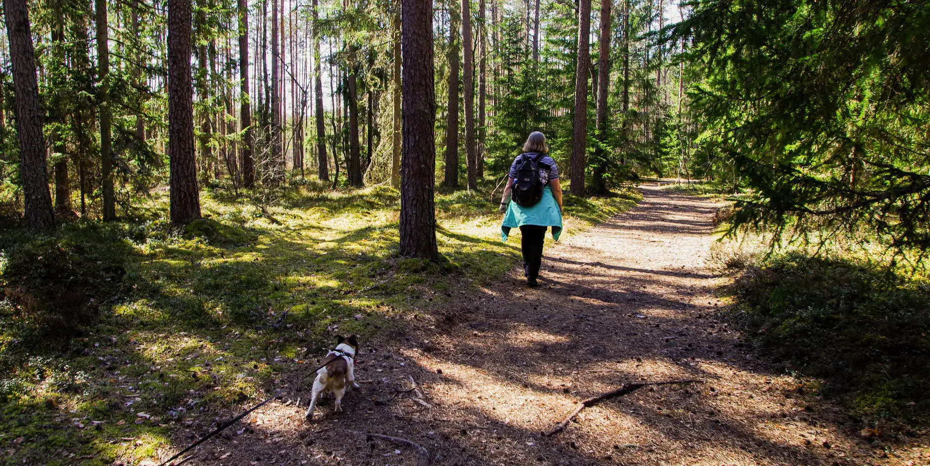 woman wearing black backpack walking on pathway in the woods with her dog