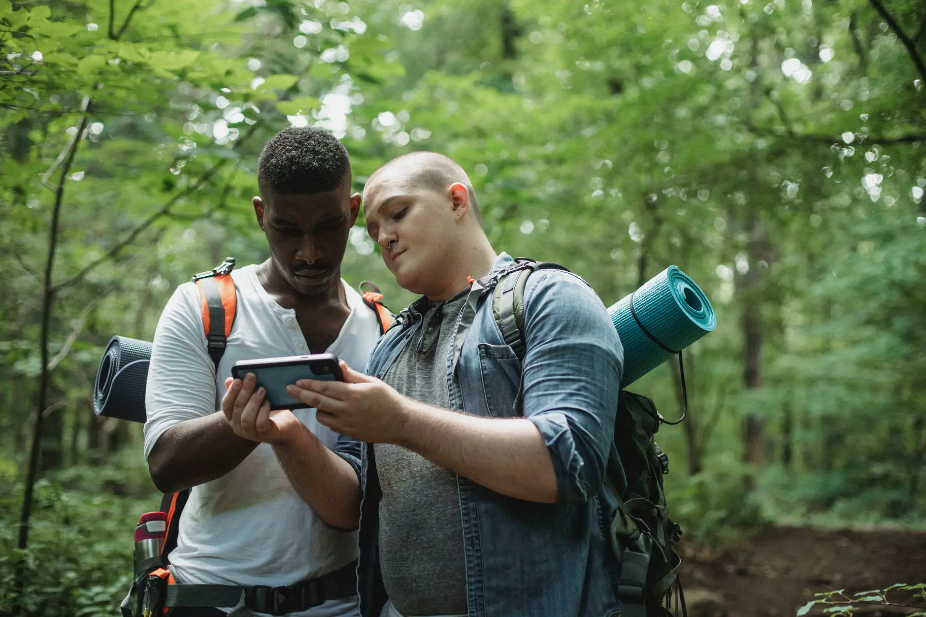 multiracial friends using navigator on smartphone in forest