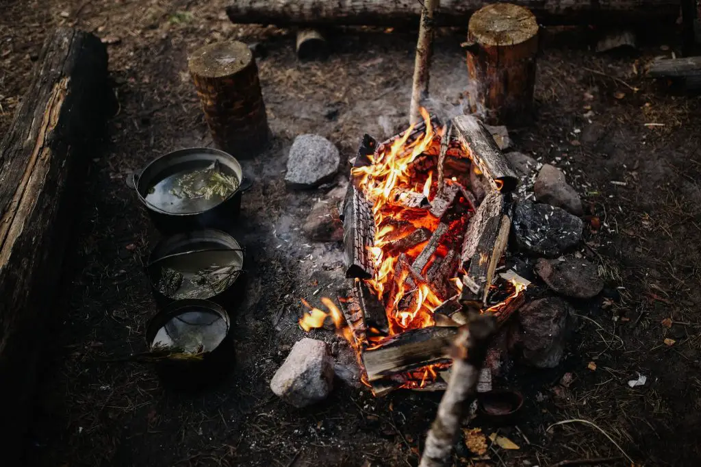 Expert Campfire Cooking