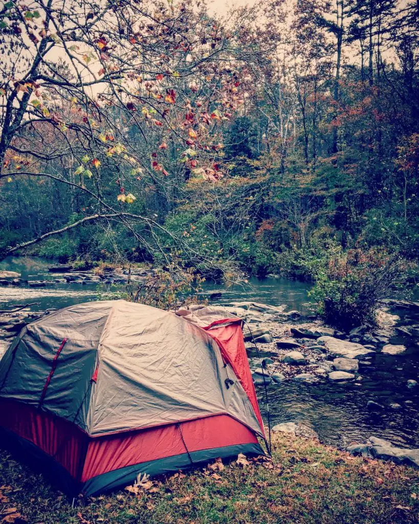 gray and red dome tent in forest