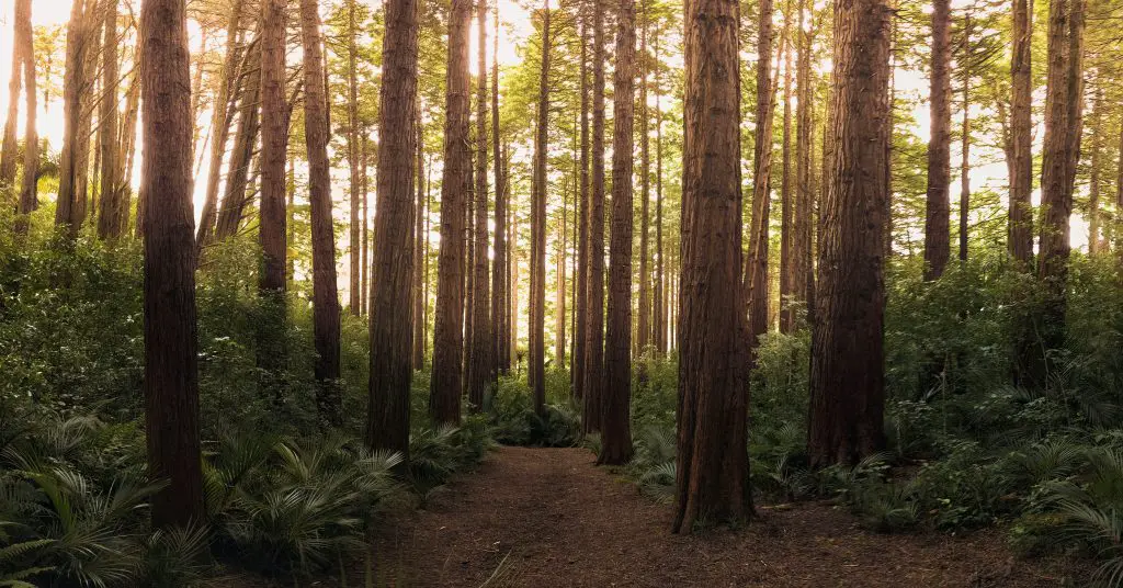 Haunted Hiking Trails