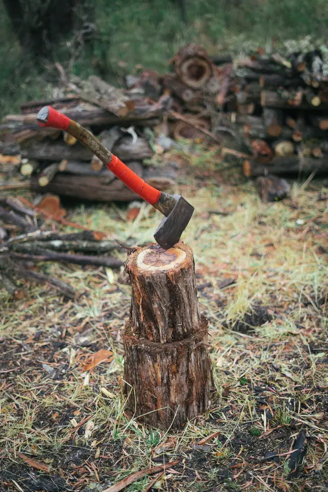 basic camping etiquette don't chop down trees