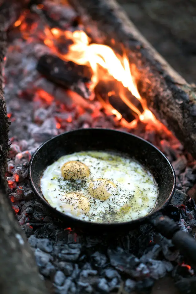 Expert Campfire Cooking