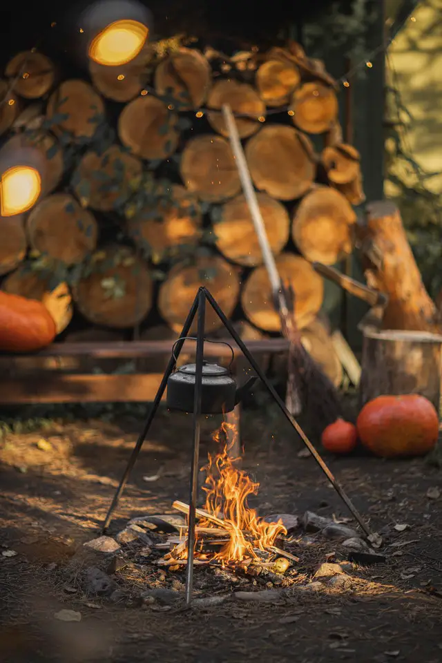 Expert campfire cooking