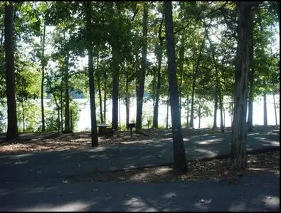 Top family campgrounds in Arkansas