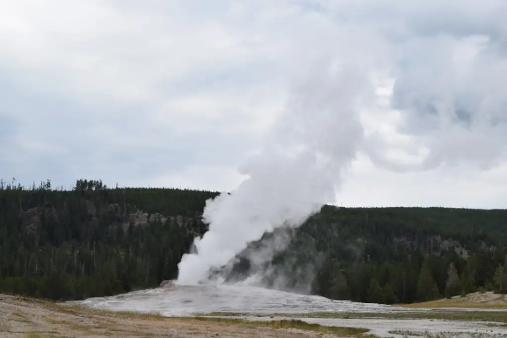 Old Faithful at Yellowstone National Park