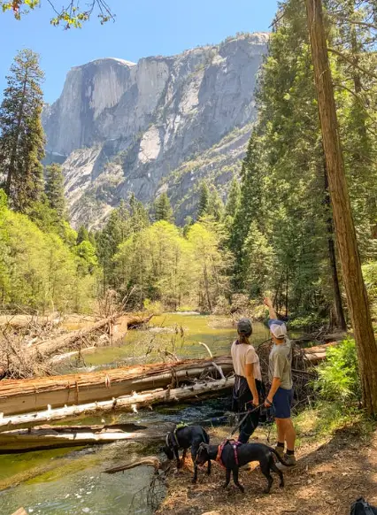 Yosemite National Park