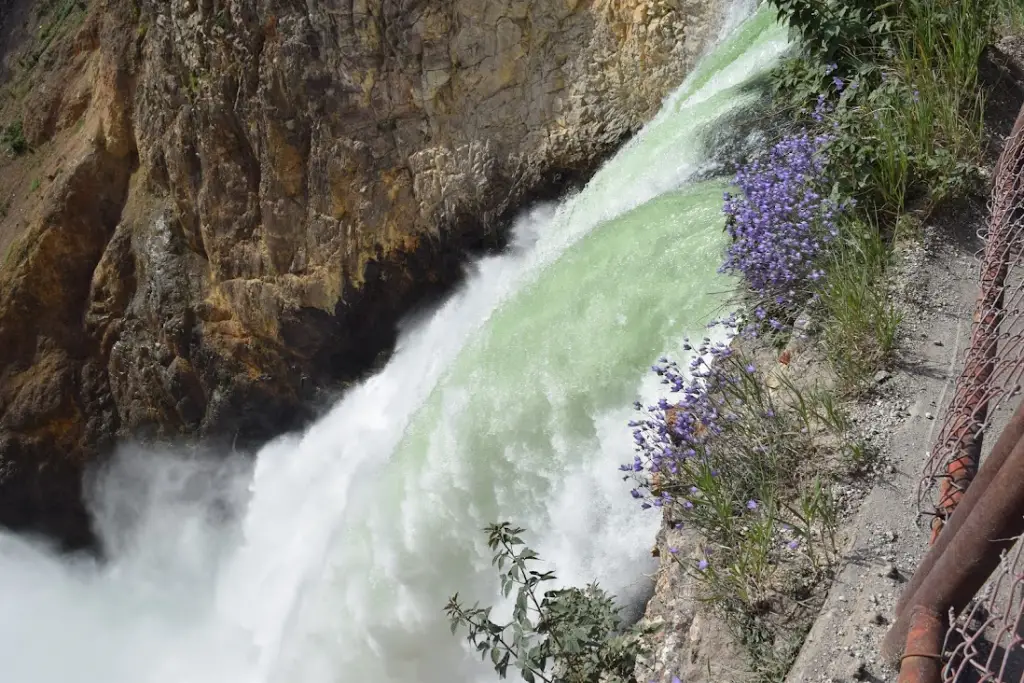 Yellowstone National Park