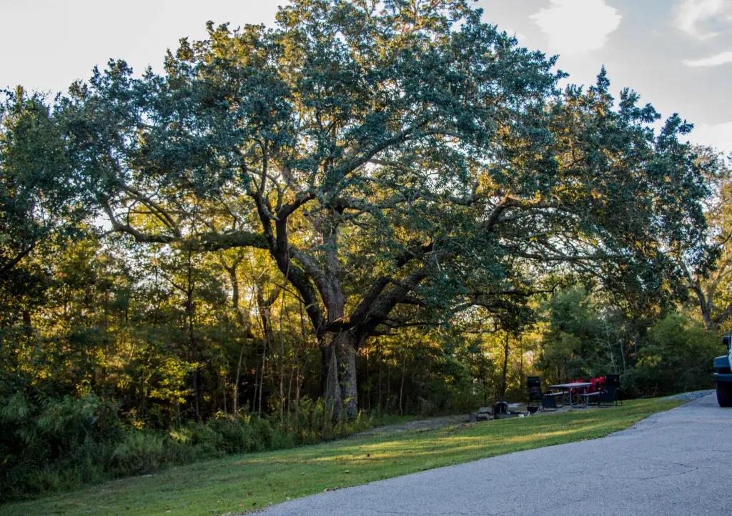 gulf islands national seashore