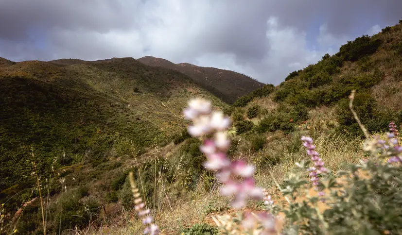 10 BEST Hiking Trails In All Of California