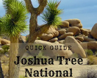 Joshua Tree National Park – Quick Guide