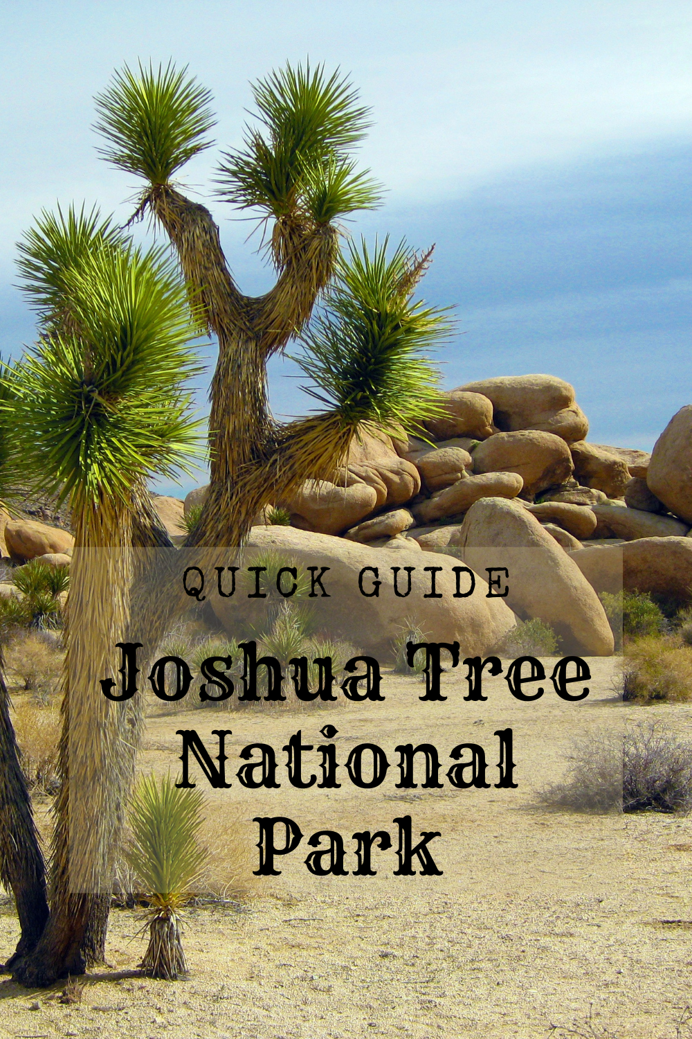 Joshua Tree National Park - Quick Guide - Outdoors, Nature, Hunting ...