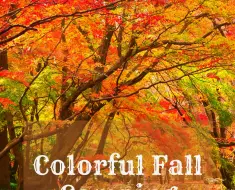 colorful fall camping