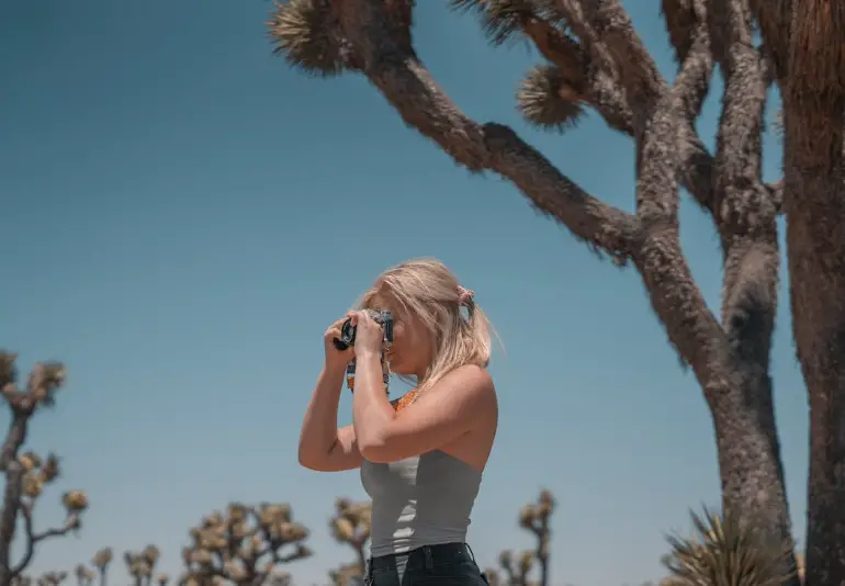 Joshua Tree National Park