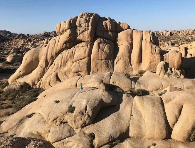 Joshua Tree National Park