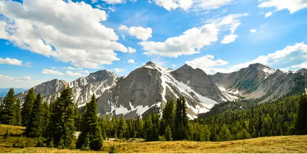 Absolute Best Montana Hikes and Trails