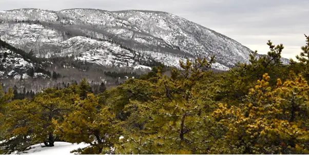 Best Hikes and Trails in Maine