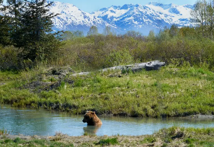 Katmai National Park and Preserve