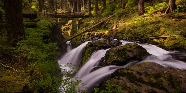 Best Hiking Trails In Washington