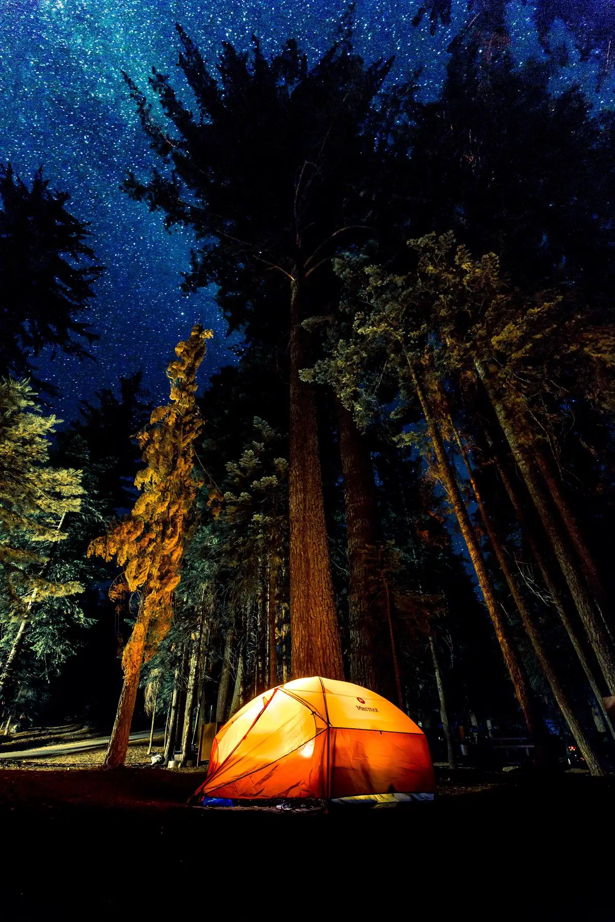 Image of assorted camping snacks on a wooden table Out-of-the-Box Camp Food Ideas