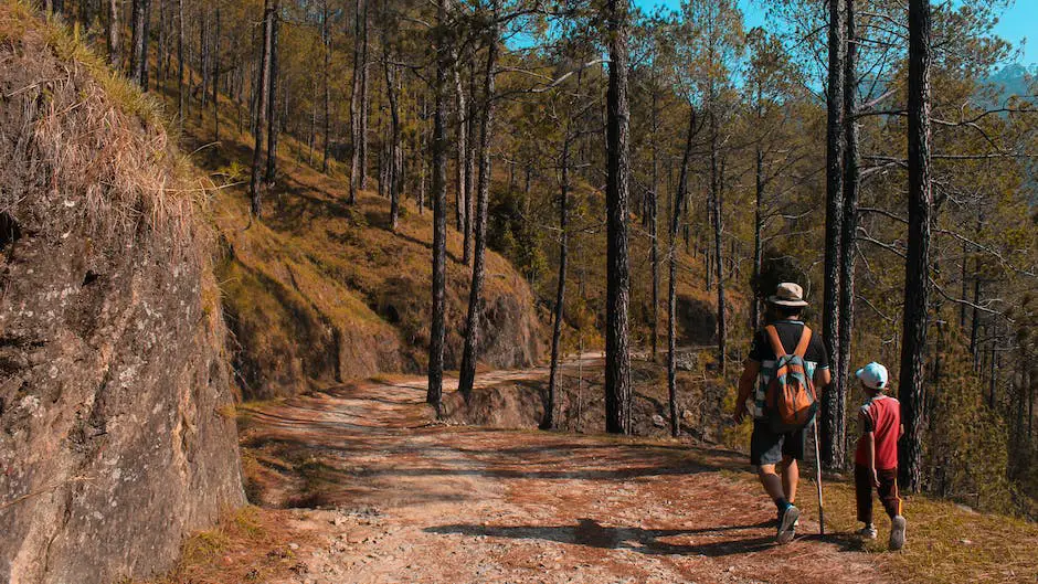 A group of students hiking along a scenic trail during a camping /hiking hybrid trip Weekend Camping Ideas for Students: