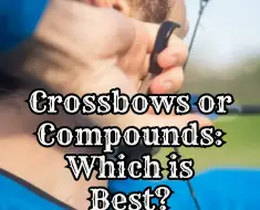 crossbows or compounds