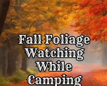 Fall Foliage Watching While Camping