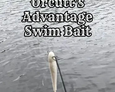 Orcutt's Advantage Swim Bait