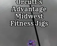 Orcutt's Advantage Midwest Fitness Jigs