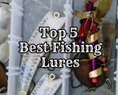 top 5 best fishing lures