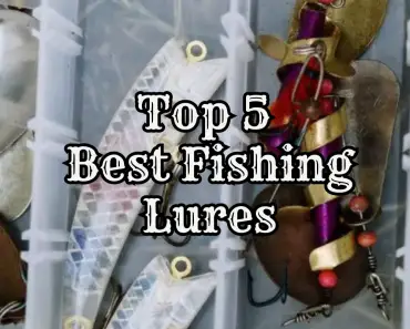 top 5 best fishing lures