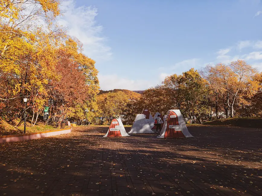 Image of a person camping in the fall surrounded by nature fall camping essentials