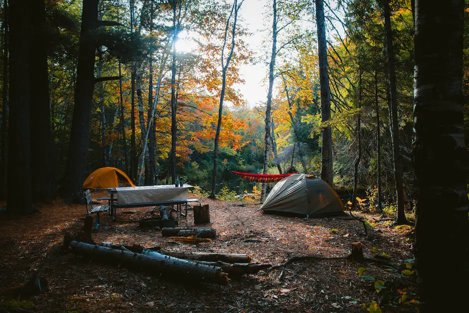 Illustration of a group of people camping in a forest during fall Affordable Fall Camping Getaways