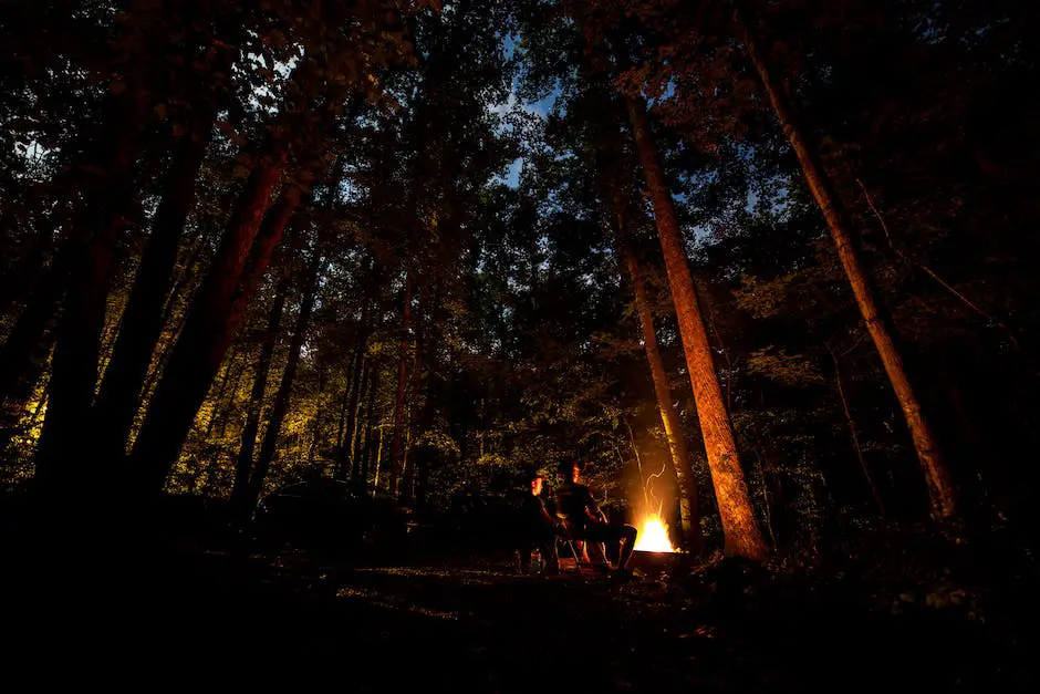 A group of people camping in a spooky forest at night with misty haze surrounding them haunted camping