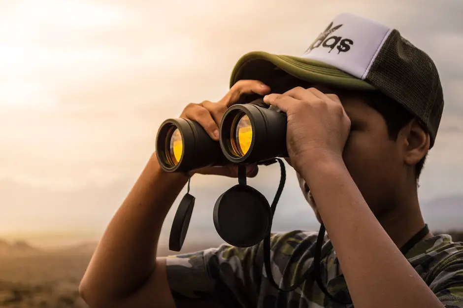 A person using binoculars to watch wildlife in a natural habitat night wildlife watching