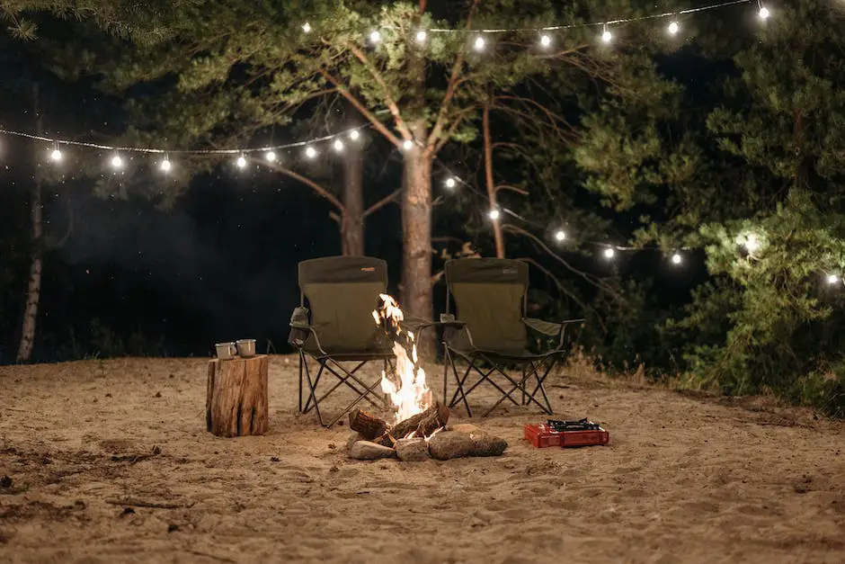 A picture of Christmas camping, with a bear in the snow and a decorated Christmas tree in the background. Unwrap the Fun: Christmas Camping and Gift Ideas